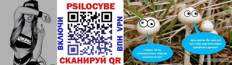 Галлюциногенные грибы мицелий  Мелеуз 